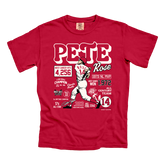 Pete Rose Career Stats